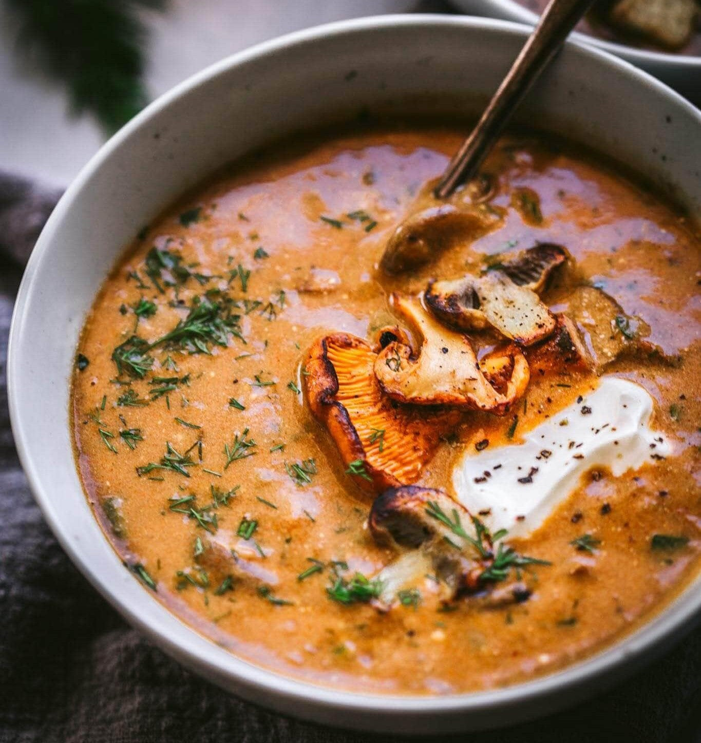 #9-1 HUNGARIAN MUSHROOM SOUP